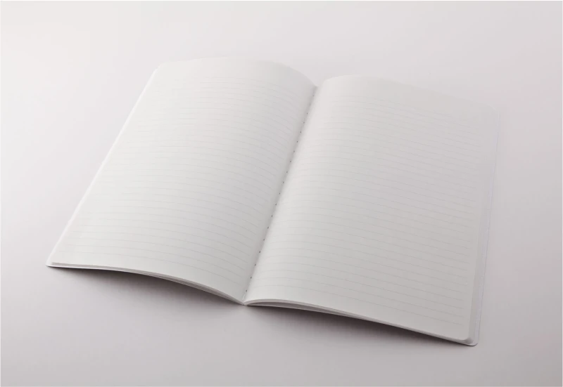 notebook vintage noteka 2.png