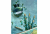 sea glass 3.png