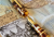 turtoise gold 1.png
