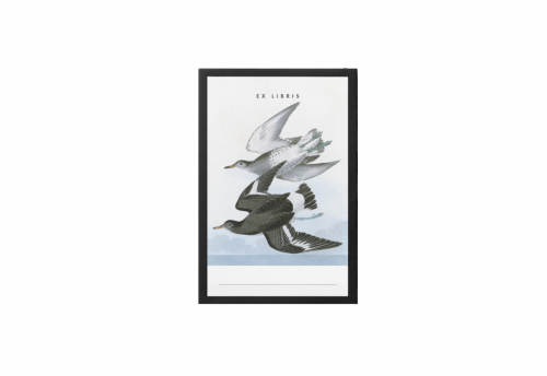ex libris 1 noteka.png
