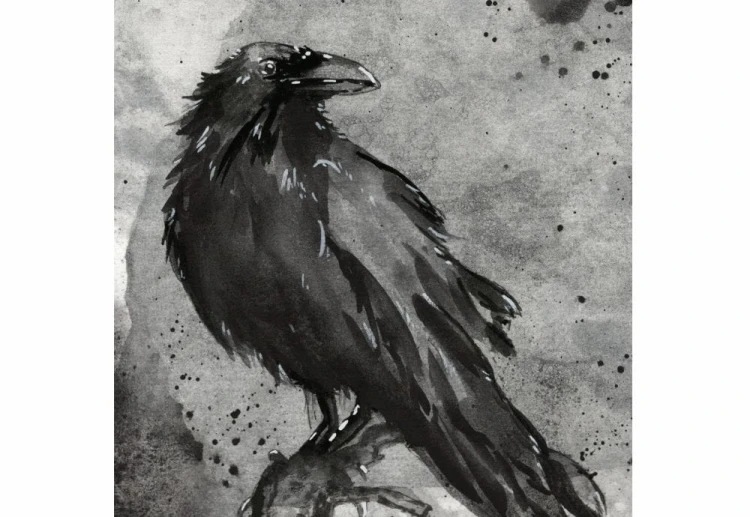esterbrook estie raven 1.jpg
