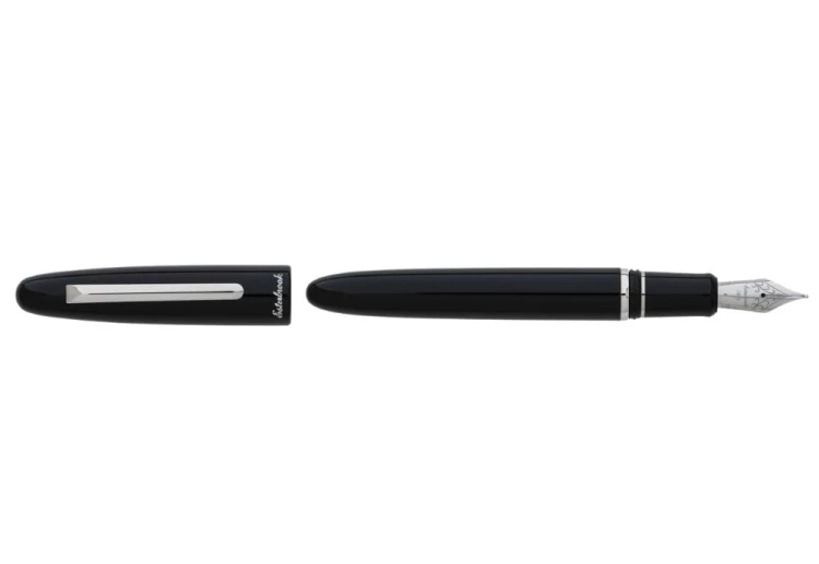 esterbrook ebony pallad 1.jpg
