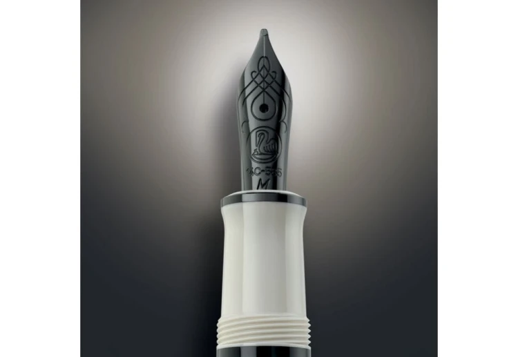 Pelikan Warm Grey Souveran 670 (4).jpg