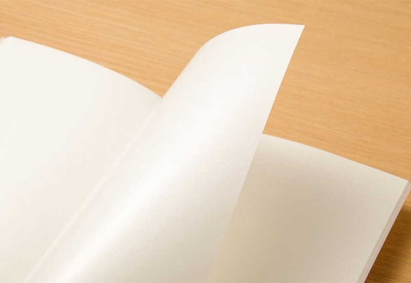 Traveler's Notebook 031 Wkład do notatnika (Regular Size) - sticker release paper 7.jpg