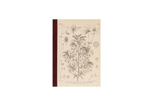 Hobonichi Techo Tomitaro Makino_ Hobonichi Graph Notebook A6 - Yamazakura - Notatnik w kratkę.jpg