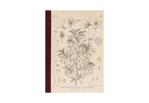 Hobonichi Techo Tomitaro Makino_ Hobonichi Graph Notebook A5 - Yamazakura - Notatnik w kratkę (6).jpg