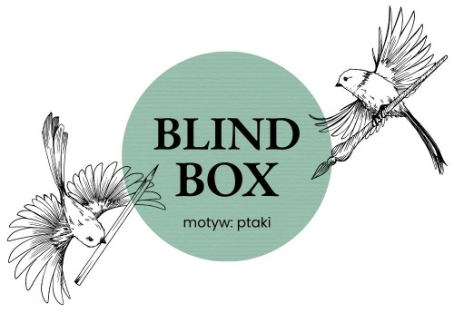 blind box ptaki noteka.jpg