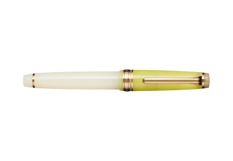 Pióro wieczne Sailor Pro Gear Dried Flowers 2 NOTEKA (11).jpg