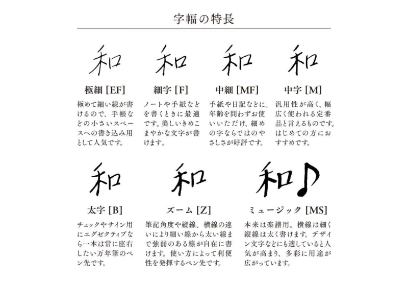 noteka stalówki sailor.jpg