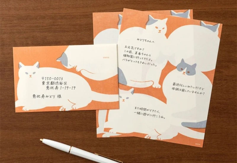 Koperty Midori Easy&Cozy Kot NOTEKA (7).jpg