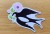 4legs postcard swallow's card NOTEKA (1).jpg