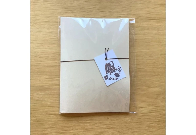 4lgs letter set zestaw kartek w teczce z kotami NOTEKA (2).jpg