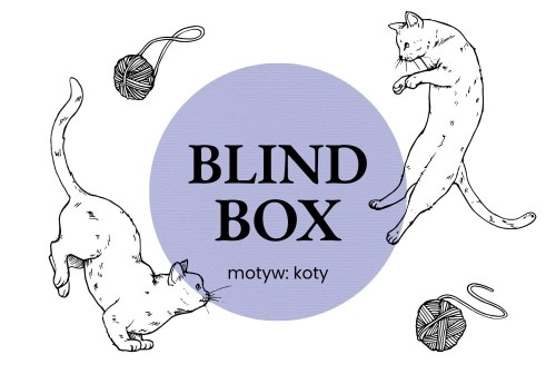Blind Box Koty.jpg