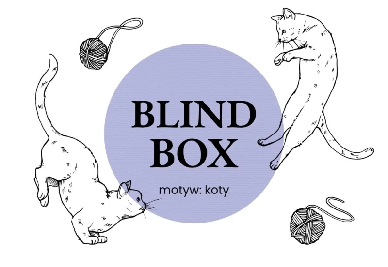 Blind Box Koty.jpg