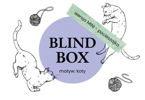 Blind Box Koty Mini.jpg