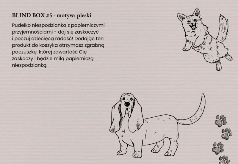 Blind Box Ptaki.jpg
