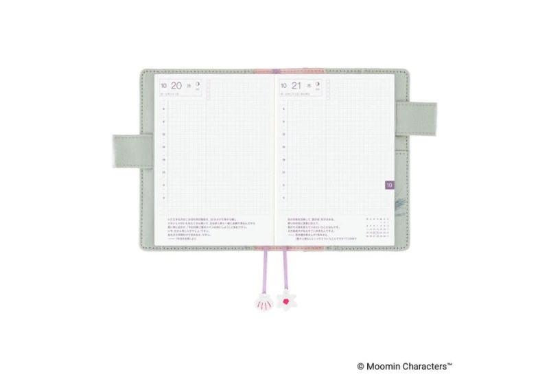 Hobonichi okładka A6 Moomin_ My Yard (Pale Mint) NOTEKA (7).jpg