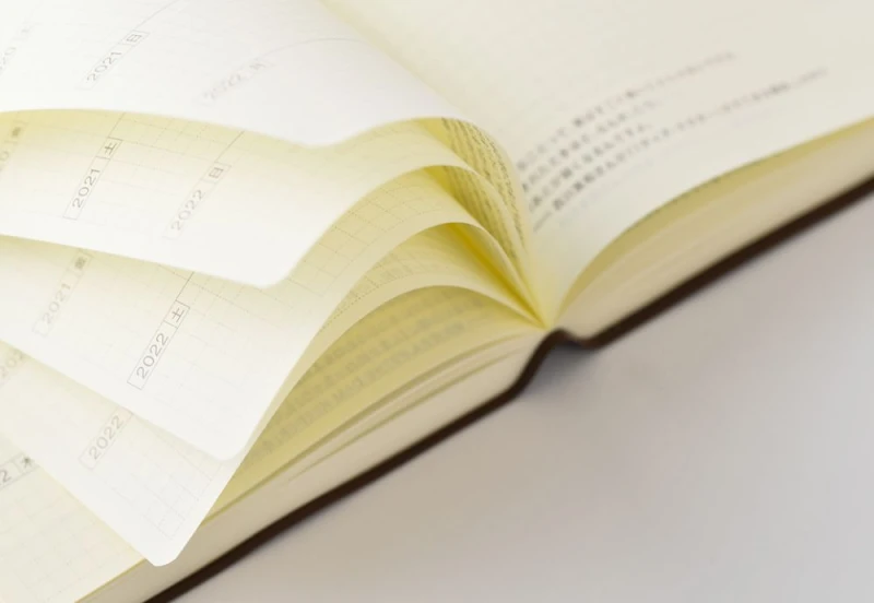 Hobonichi 5-Year Techo 2027-2031 - dziennik 5-letni JPN noteka (8).jpg
