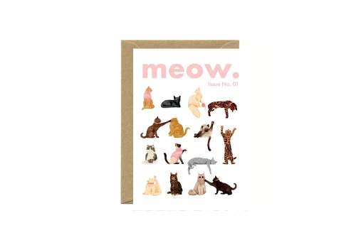 All The Ways To Say Kartka Meow Issue