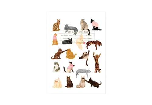 All the ways to say Notes A5 - Meow