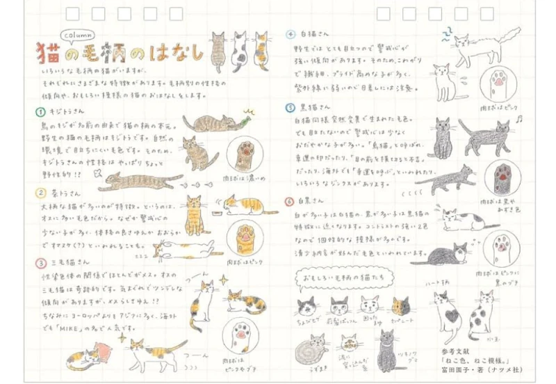 Midori Calendar Ring M 2027 kalendarz NOTEKA (5).jpg