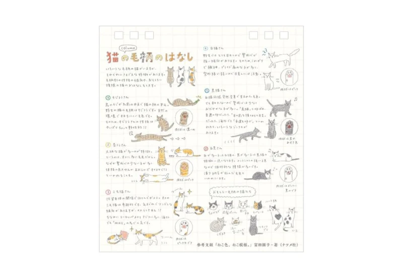 Midori Calendar Ring S CAT 2027 kalendarz NOTEKA (5).jpg