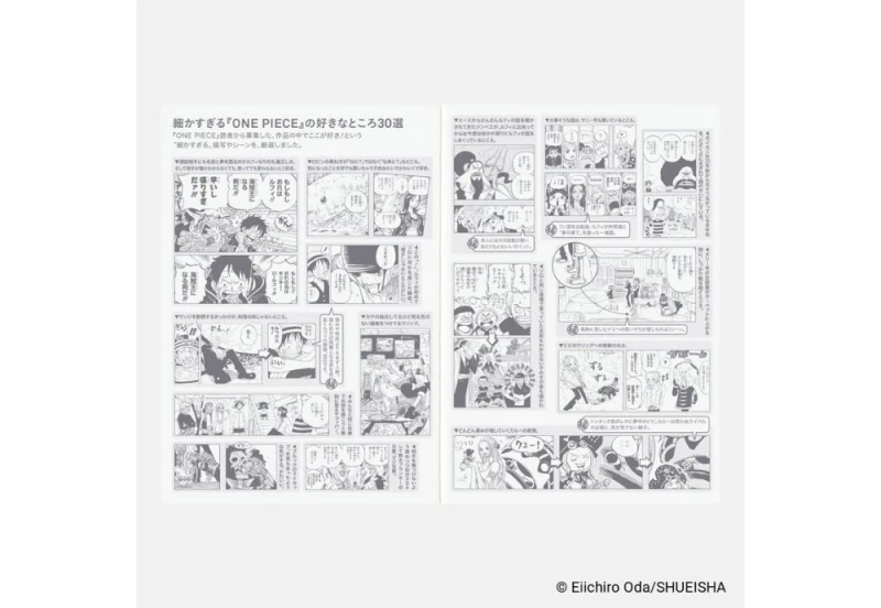 Hobonichi Techo Original A6 2027 One Piece - kalendarz dzienny JP noteka (8).jpg