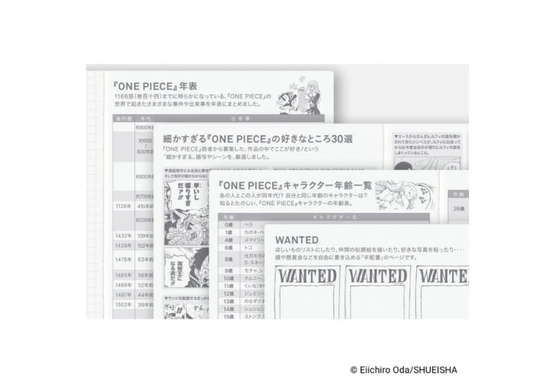 Hobonichi Techo HON A6 2027 ONE PIECE magazine_ Very Very Merry! noteka (15).jpg