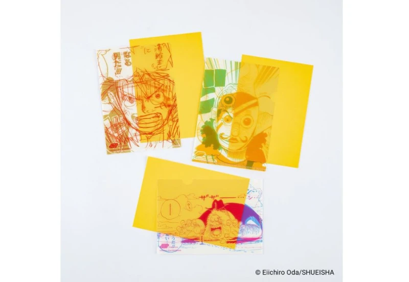 Hobonichi Techo ONE PIECE Clear File (2).jpg