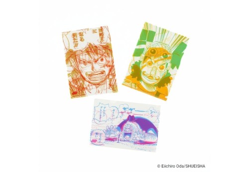 Hobonichi Techo ONE PIECE Clear File (4).jpg