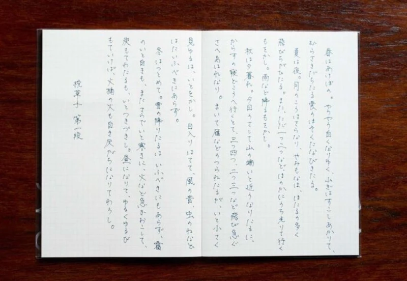 Kokuyo WP Finewriter 0,5 mm black noteka (6).jpg