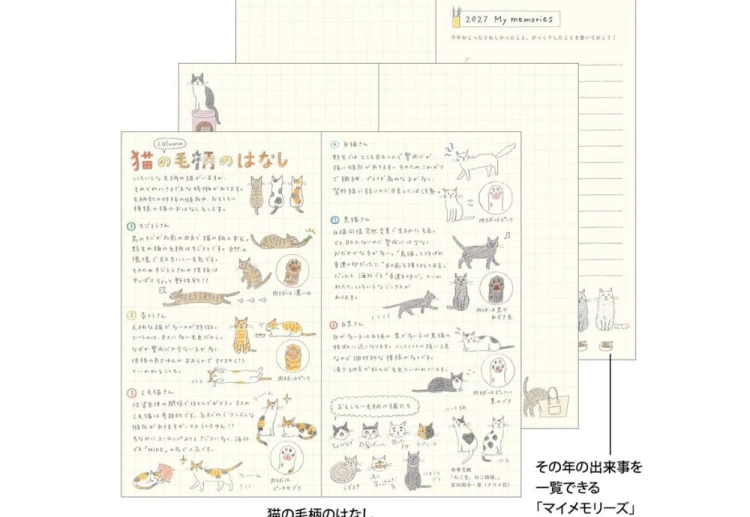 Midori Pocket Diary B6 slim Kalendarz Miesięczny 2027 Kot noteka (7).jpg