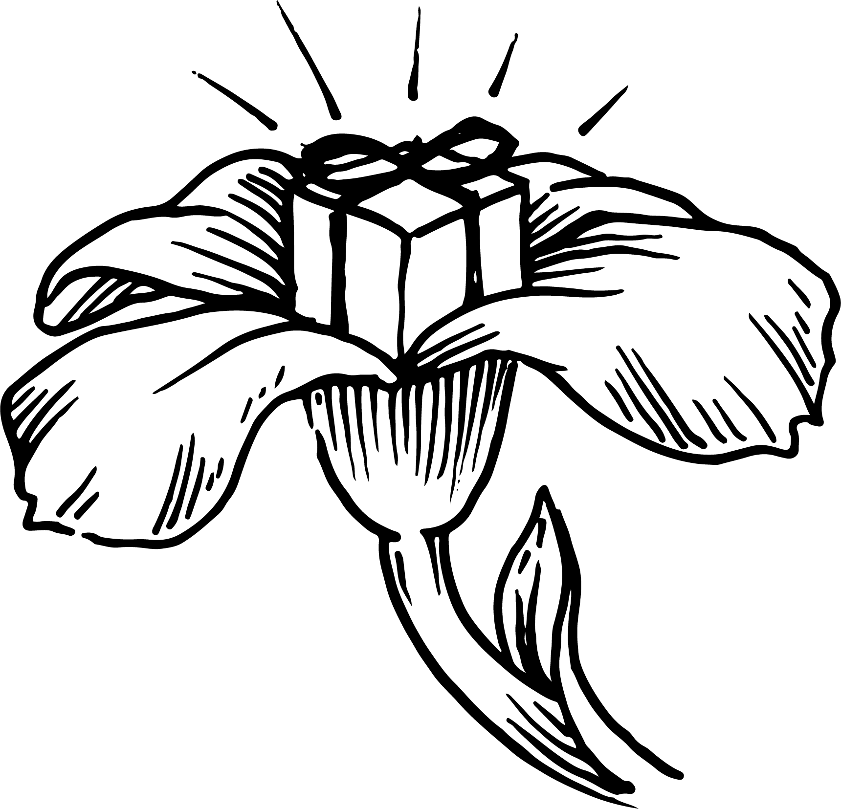 Pięknie zapakowane przesyłki