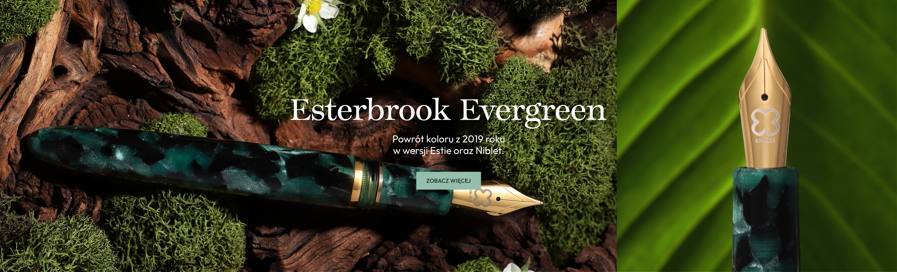Esterbrook Evergreen Pióro Wieczne NOTEKA - papierniczy concept store